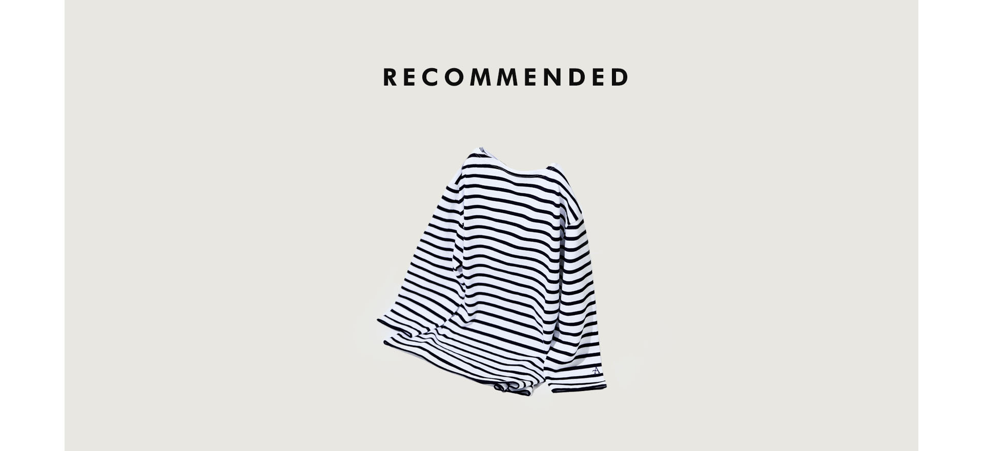 RECOMMENDED ITEM
